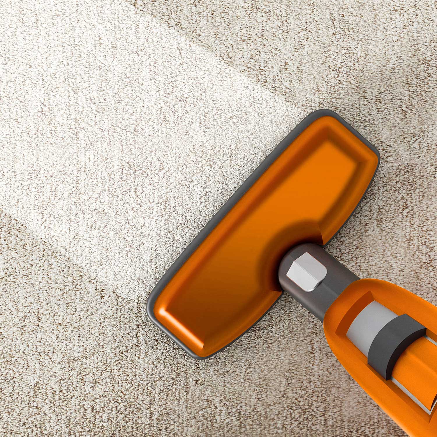Carpet Cleaning