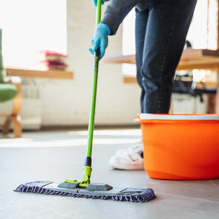 House Cleaning Services