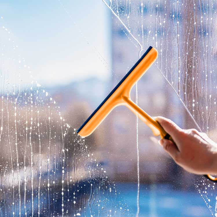 Window Cleaning